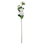 White Rose (FLW200)