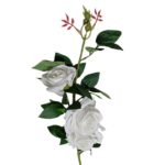 White Rose (FLW200) (3)