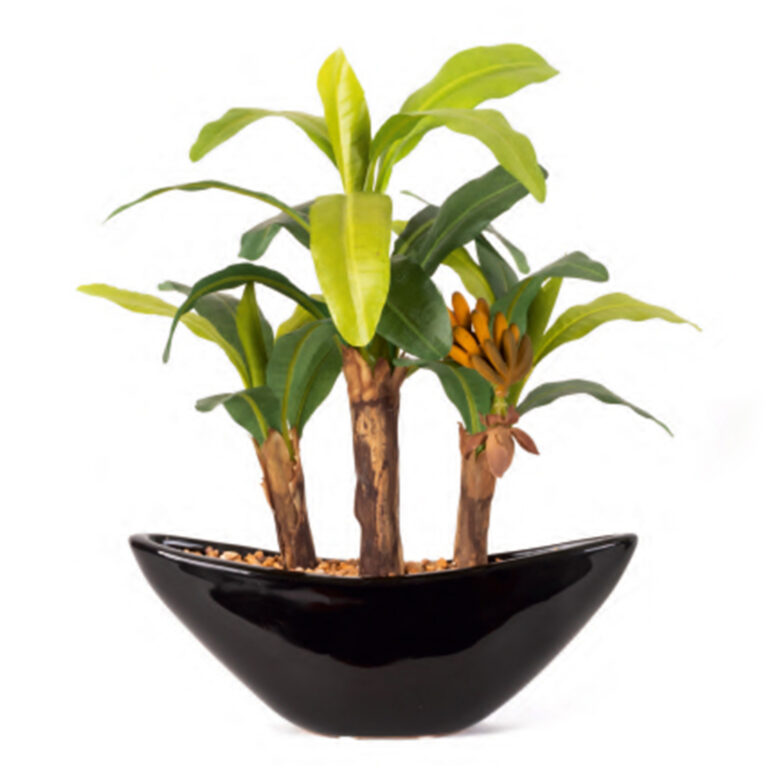 Artificial Banana Bonsai Plant with ceramic Pot Elen India