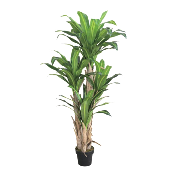 Artificial Dracaena Plant without Pot 160 cm - Elen India