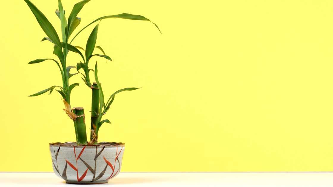 Why Artificial Bamboo Plants Are Becoming the Hottest Home Decor Trend